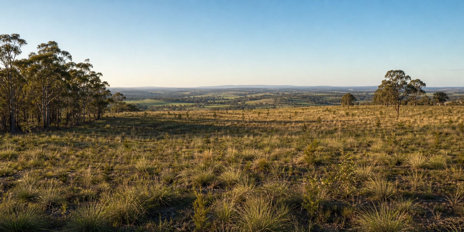 Restored rural land after solar farm removal with native vegetation and no visible solar infrastructure