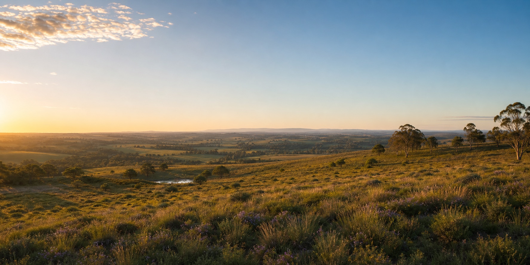 Restored rural ridge after wind farm removal with native grasses and no visible infrastructure